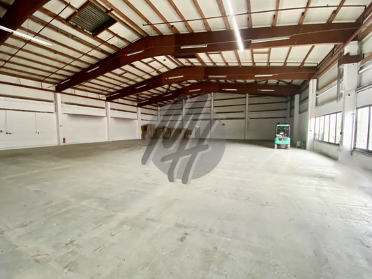 INFOS UNTER: 06171-586000