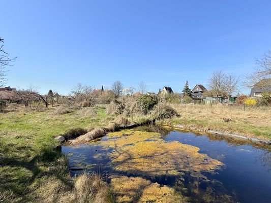Teich im Garten