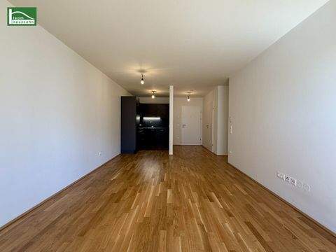 Wien Wohnungen, Wien Wohnung mieten