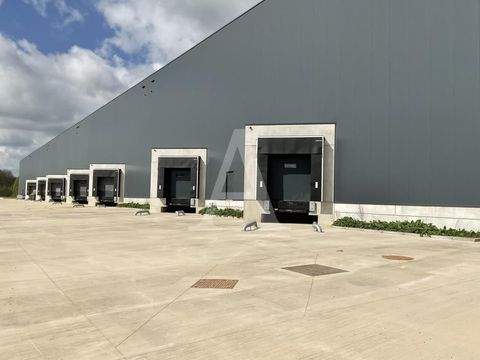 Dormagen Halle, Dormagen Hallenfläche