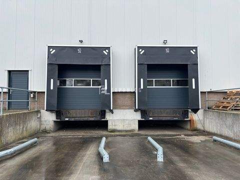 Düsseldorf Halle, Düsseldorf Hallenfläche