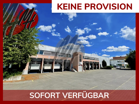 Wiesloch Halle, Wiesloch Hallenfläche