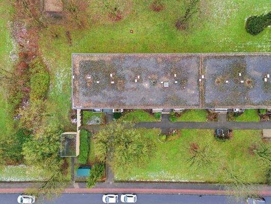 Alexander Immobilien (4).jpg