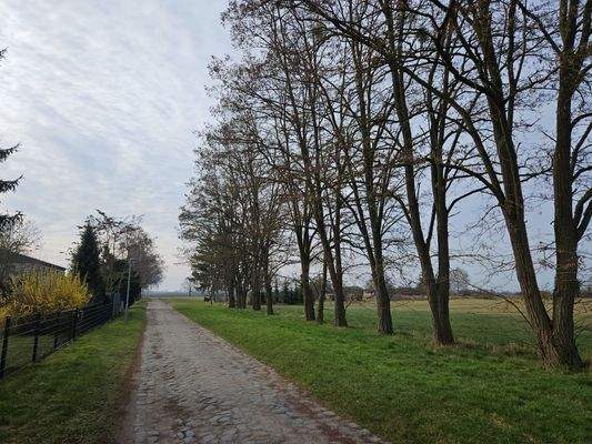 1 Weg am Grundstück.jpg