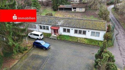 Magdala Halle, Magdala Hallenfläche