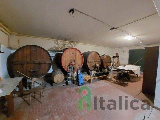 20240417_095920 (Kopie).jpg