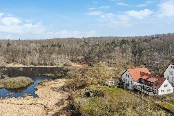 Natur pur. am Friedeholzer Wald