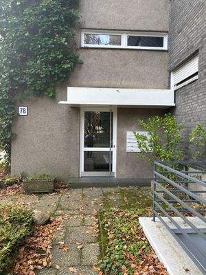 WhatsApp Image 2025-11-14 at 17.33.17