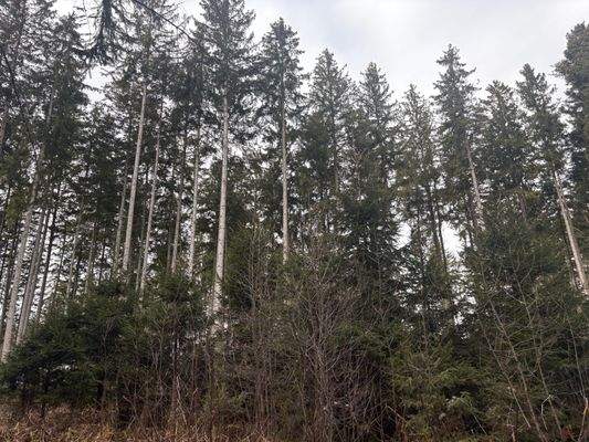 2026-02-12 13.50.52.jpg