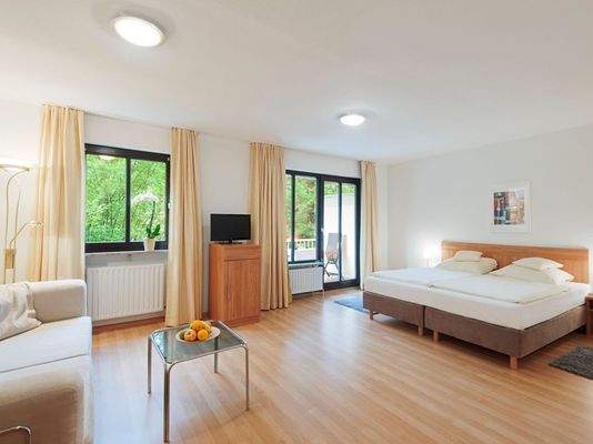 Beispielfoto heller und großzügiger Wohnraum