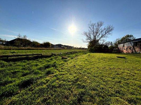 48) Garten und Hauskoppel.jpg