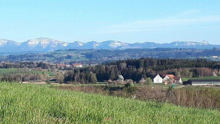 Berg Richtung Allgäuer Berge.jpg