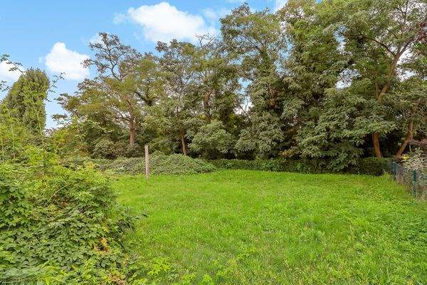 Grundstücksansicht (21)