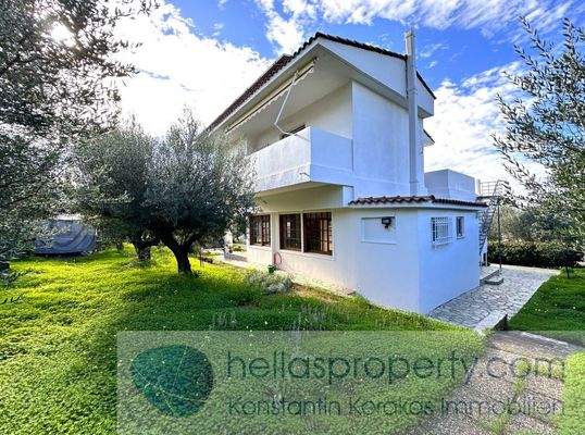 img_c135b91c-458d-468e-af9a-dd32c567f911