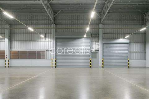 Düsseldorf Halle, Düsseldorf Hallenfläche