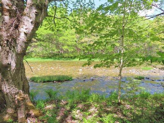 Cape Breton - Traumhaft schöne Naturlage am Middle