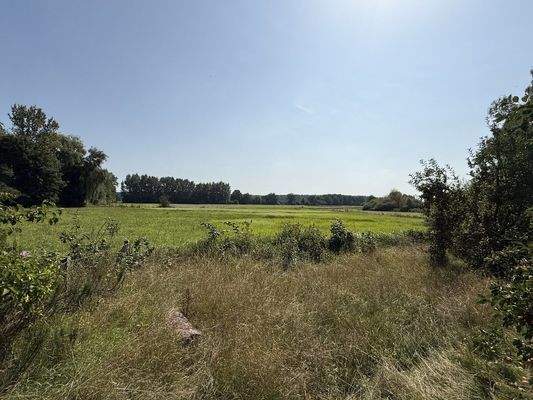 Wunderschöne Feldrandlage