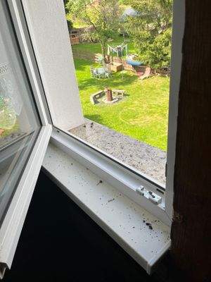 Zweifach verglaste Fenster.jpg