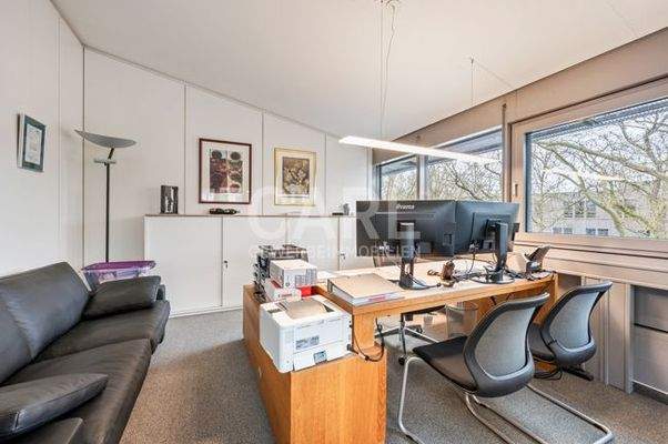 Weinstraße_20260221_34