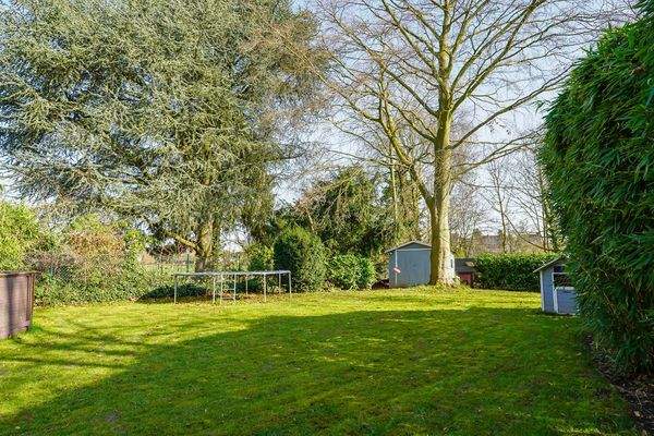 ca. 560 m² Garten zur Alleinige Nutzung mit altem Baumbestand