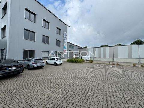 Niederkrüchten Halle, Niederkrüchten Hallenfläche