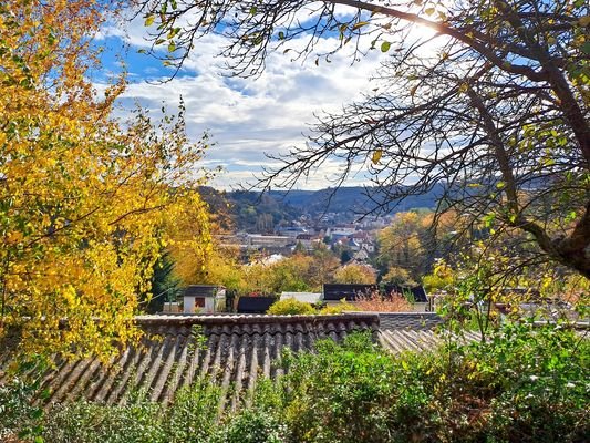 Blick ins Triebischal