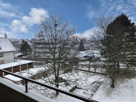 freier Ausblick vom Balkon ins Grüne
