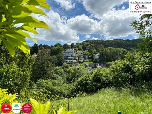 Blick in den Wienerwald