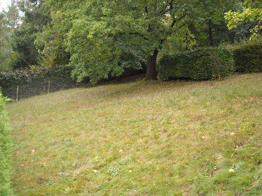 2021-12-03 02.45.50.jpg