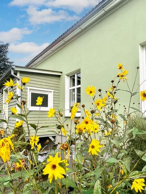 Ueckermünde Häuser, Ueckermünde Haus kaufen