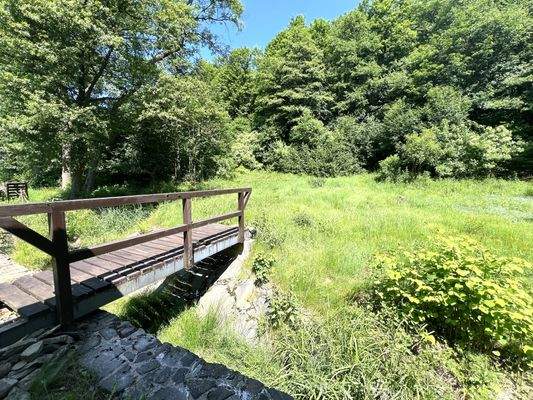 Blick in den Garten II.jpg