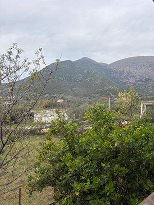 WhatsApp Image 2026-01-05 at 11.24.59 (3).jpeg