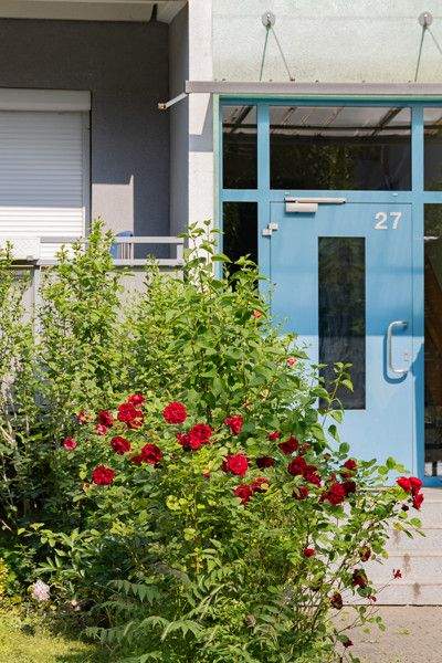 Dresden Wohnungen, Dresden Wohnung mieten
