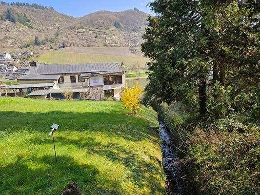 Eigener Bachlauf entlang der Grundstücksgrenze