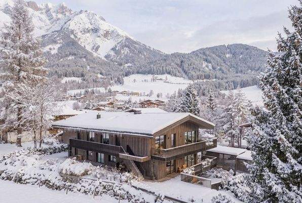 20260120-Links_hinten_snow-