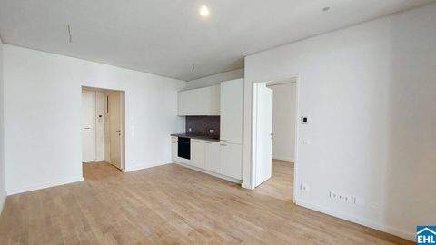 Wien Wohnungen, Wien Wohnung mieten