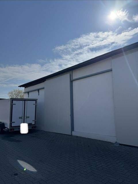 Würzburg Halle, Würzburg Hallenfläche