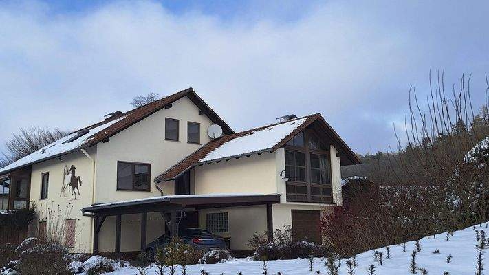 Hausansicht/Carport/UG Eingang