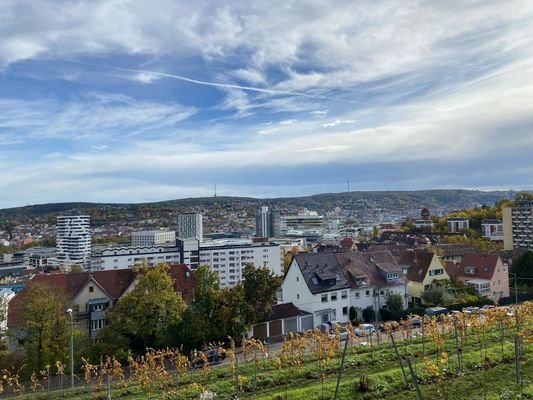 Rebhalde - Blick vom Gartentor