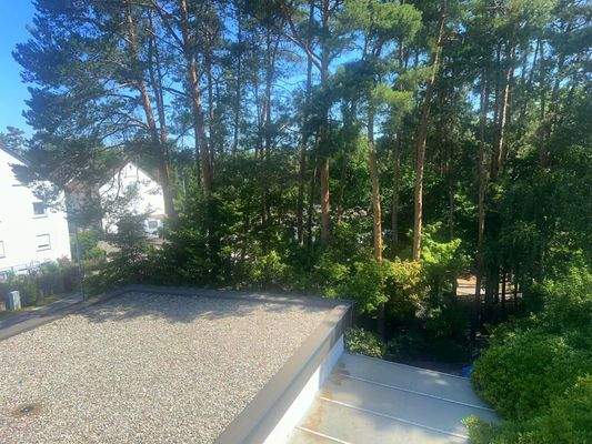 DG_Kinderzimmer_Aussicht