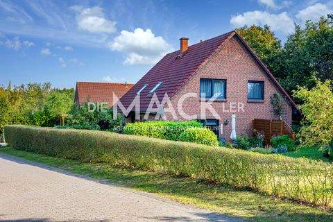 Neetze Häuser, Neetze Haus kaufen