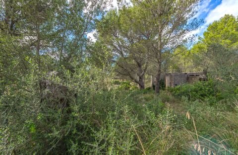 Valldemossa Grundstücke, Valldemossa Grundstück kaufen