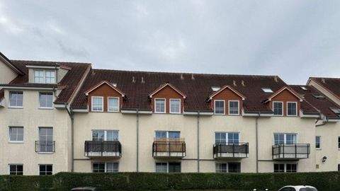 Greifswald Wohnungen, Greifswald Wohnung mieten