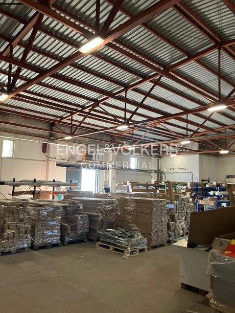 Berlin Halle, Berlin Hallenfläche