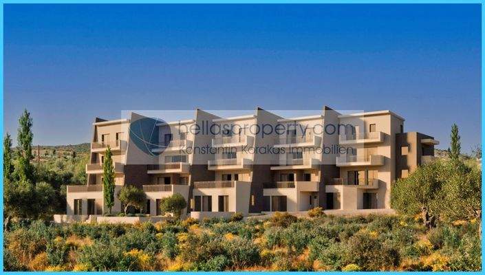 5e9ab80bcc6e492ab0037c362b86900a-original