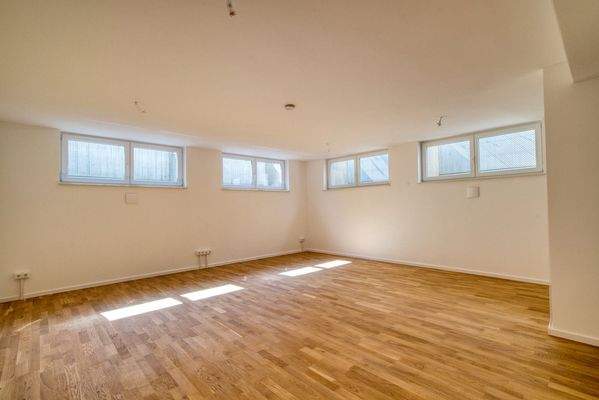 Nutzflächen im UG hell & freundlich