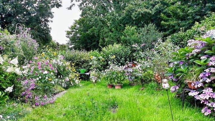 die Blumenpracht im Sommer