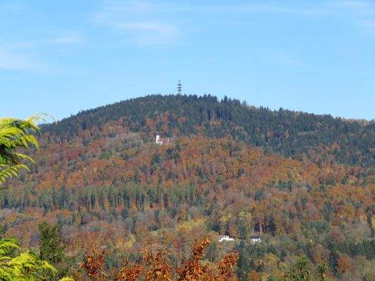 Blick von der Dachterrasse auf Ulrichsberg 