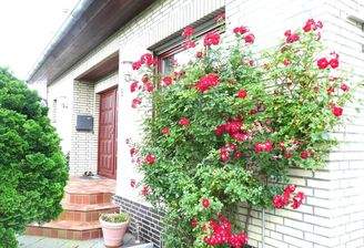 Großzügiges Einfamiliemhaus  im Wohngebiet