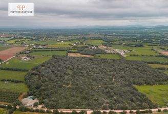 DJI_20250221125009_0181_D